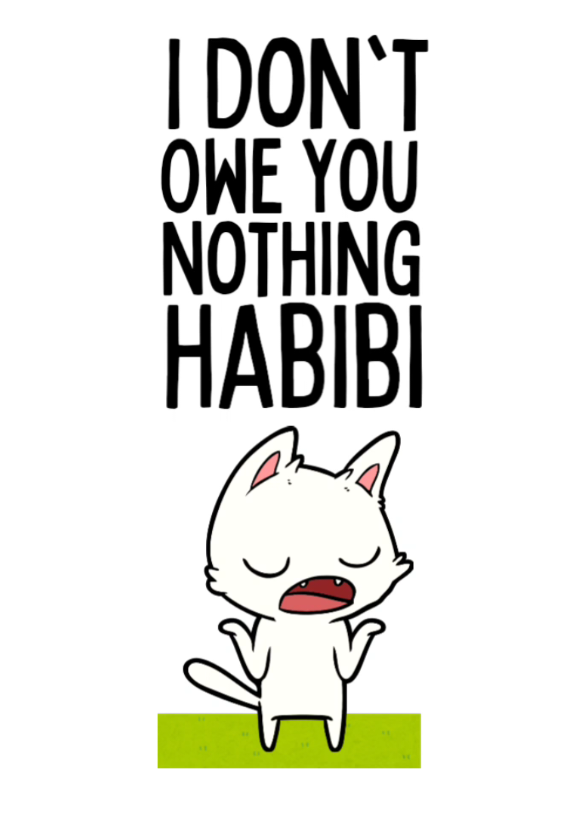 I don't owe you nothing Habibi