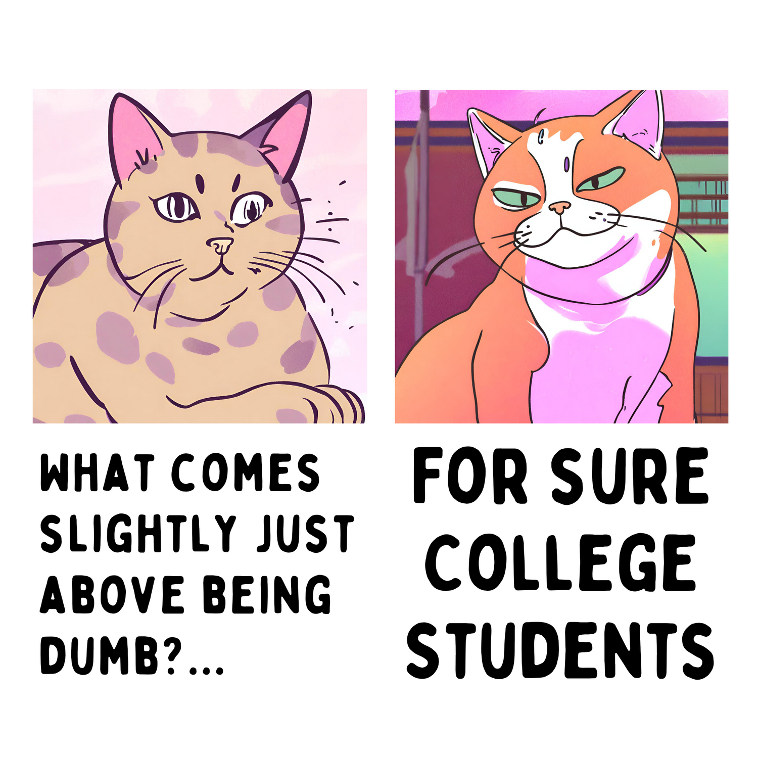 College Students